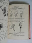 Edmonds Henry - Elementary botany, theoretical and practical