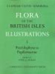 Clapham Tutin Warburg - Flora of the British Isles Illustrations. Deel 1 tot en met 4; editie 1984