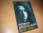 Brusselmans,  Herman - In de knoei