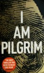 Hayes T - I am pilgrim