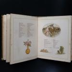Kate Greenaway - The Language Of Flowers Illustrated By Kate Greenaway
