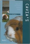 H.L. Schippers - Cavia's