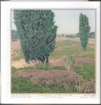 Ginkel, J. van - Jeneverbes / druk 1