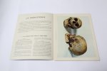 A. Rossignol - Documentation pédagogique, n°36 : La préhistoire