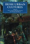 Curtin, Ch., H. Donnan and Th.M. Wilson [eds.] - Irish urban cultures