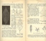 Kok, J - Plantkunde Deel I. Handleiding. Bij het onderwijs aan land en tuinbouwwinterkursussen.