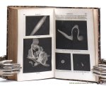 Delaunay, M. Ch. - Cours élémentaire d'Astronomie Concordant avec les articles du Programme officiel pour l'enseignement de la cosmographie dans les lycées. Deuxième edition. Delaunay, M. Ch. - Cours élémentaire d'Astronomie Concordant avec les articles du Programme officiel pour l'enseignement de la cosmographie dans les lycées. Deuxième edition.