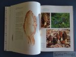 Jordan, Peter en Wheeler, Steven. - Paddestoelen. Alle soorten van A tot Z. Met 99 originele recepten. [Paddenstoelen]