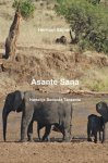 H. Stijnen - Asante Sana