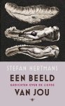 Stefan Hertmans - Een beeld van jou