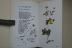 Bastin, Marjolein; Buisink, Frans - biologie: KLEIN HERBARIUM  gebonden exemplaar