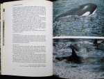 Lockley, Ronald - Whales, dolphines & porpoises (Engelstalig met veel foto`s)