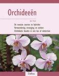 Jorn Pinske - Orchideeen