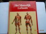 Gianni Ciceri e.a. - Het menselijk lichaam Gianni Ciceri e.a. - Het menselijk lichaam