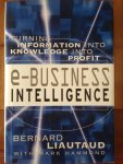 Liautaud, Bernard en Mark Hammond - E-Business Intelligence. Turning Information into Knowledge into Profit.