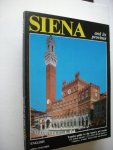 Carli, Enzo - Siena and its province. A Tourist Guide to the Town's Art Works