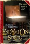 Skelton, Matthew - Endymion spring - Wat voor een boek is dit?