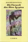 Joachim Boessneck 27567 - Die Tierwelt des alten Ägypten Untersucht anhand kulturgeschichtlicher und zoologischer Quellen