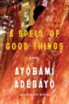 Ayobami Adebayo - A Spell of Good Things