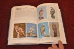 Wheeler, Brian K. / Clark William S. - A Photographic Guide to North American Raptors