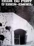 Vliegen, René (vertaling) - Ceux du fort d'Eben-Emael - Nederlandse uitgave