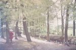 Rooseboom, Hans & Ileen Montijn - Stille beelden: vroege kleurenfotografie uit het Rijksmuseum