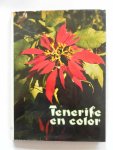 Alvarez Cruz, Luis; Illustrator : Cebrian Y Archivo Alvarez,  Perez Mesa,M. - Tenerife en color Fotoboek in 4 talen Spaans Engels Frans Duits