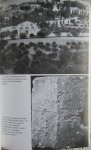 Baigent, M. - Leigh, Richard - Lincoln, Henri - De Messiaanse erfenis. De geheime kracht van de Prieuré de Sion Baigent, M. - Leigh, Richard - Lincoln, Henri - De Messiaanse erfenis. De geheime kracht van de Prieuré de Sion