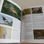 Vladimir Bejcek, Karel Stastny - Geïllustreerde vogelencyclopedie