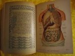 Fischer-Dückelmann, Anna - Die frau als hausärtztin. Ein ärtztliches nachslagebuch für die frau. Jubiläums-aulage Fischer-Dückelmann, Anna - Die frau als hausärtztin. Ein ärtztliches nachslagebuch für die frau. Jubiläums-aulage