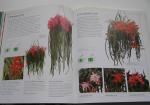 Hewitt Terry - Cactussen & vetplanten  Het complete handboek