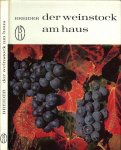 Breider Hans  75 Abbildungen , davon 20 zeichnungen - Der Weinstock am Haus .. Die Plege der Weinrebe am Haus und im Garten