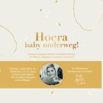 Bobbi Eden 97756 - Hoera baby onderweg! Zwangerschapsinvulboek vol praktische tips, checklists, mijlpalen en ruimte voor foto's