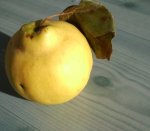 Cesbron, Gilbert .. vertaling Willy Corsari ..  Omslag Tom Heus - Vijand tijd