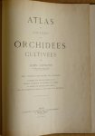 Costantin, Julien - Atlas en couleurs des orchidées cultivées