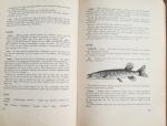 Bastiaens, Marcel - De Geheimen der Hengelsport / Encyclopedische gegevens voor de Lijnvisser