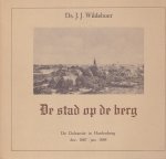 JJ Wildeboer - Stad op de berg - De doleantuie in Hardenberg, dec. 1887 - jan. 1888