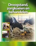 Jan Hulsen - Droogstand, Zorgkoeien En Behandelen