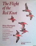 Harrington, Brian & Charles Flowers - Flight of the Red Knot. A Natural History Account of a Small Bird's Annual Migration from the Arctic Circle to the Tip of South America and Back