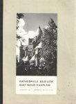 Beijk, Joh. W.B. - De nieuwe Sint Bavo te Haarlem