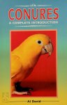 Al David - A Complete Introduction to Conures