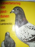 Lambrechts, John - Rasverbetering van postduiven