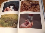 Rowlands, Beau W ea - The Birds of St Helena - BOU-checklist 16