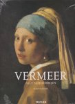 Norbert Schneider - Vermeer (T25)