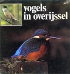 SCHELHAAS, DR. HARM / DEKKERS, GER / GERRITSEN, GERRIT (onder redaktie van) - Vogels in Overijssel. Uitgave '84