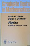 Adkins, William A. & Steven Weintraub - Algebra: An Approach via Module Theory