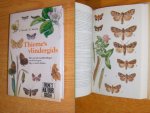 I. Novak; F. Severa - Thieme's vlindergids. De Europese dag- en nachtvlinders, met rupsen, poppen en voederplanten