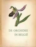 Balis, Jan & André Lawalrée. - De Orchidee in België.