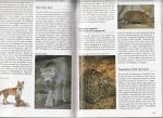 Verhoef-Verhallen, Esther J.J. - Geillustreerde wilde dieren encyclopedie