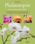 Jorn Pinske, J�rn Pinske - Phalaenopsis